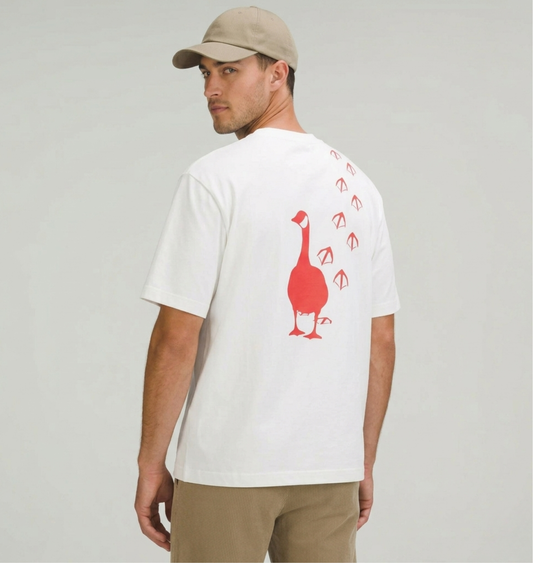 Spring 2026 Canada Geese Are Back