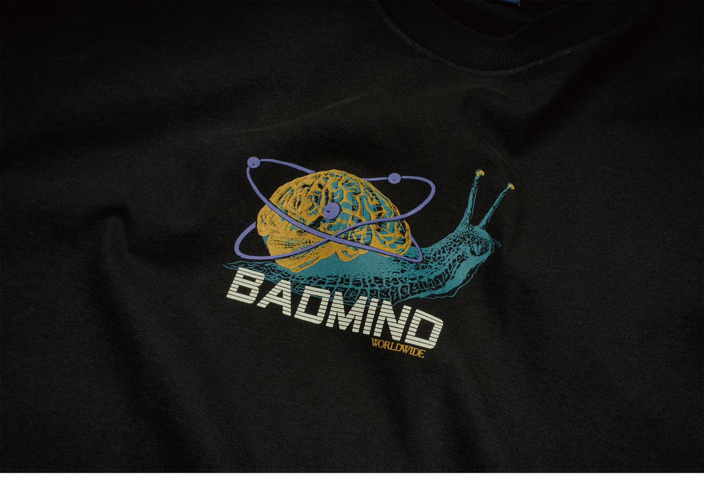 T-Where Brain